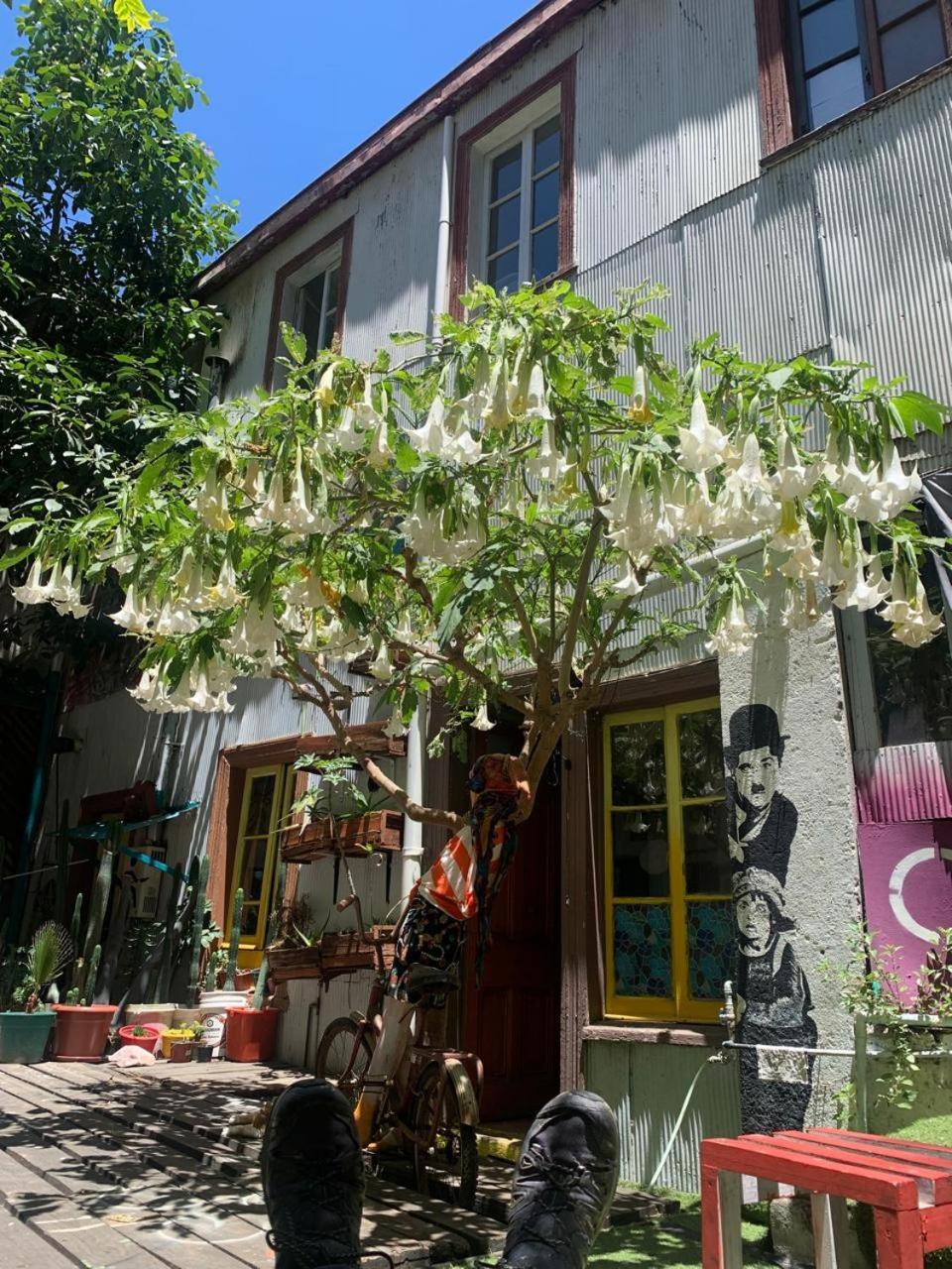 Art Hostel Casa Chaman Valparaiso Exterior photo